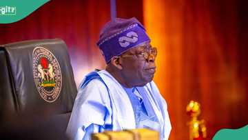 'Kisan sojoji a Borno': An sake matsawa Tinubu, ana so dole ya tsige ministan tsaro