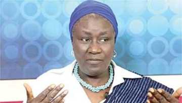 Nigeria must stop funding "wasteful bicameralism" - Ex-presidential candidate Sonaiya
