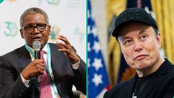 Elon Musk loses, regains world’s richest man title, Dangote gets new ranking