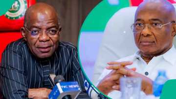 "Muna da dan takara"; Gwamna ya sutale takwaransa kan goyon bayan tazarcen Tinubu a 2027