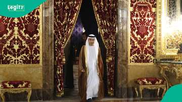 UAE forces destroy hundreds of cruise missiles and drones amidst Iran conflict