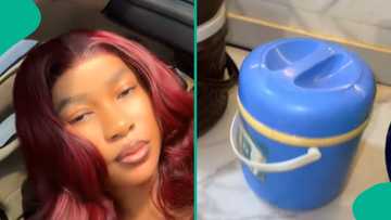 Lady who hired private chef to cook coconut rice shares what was delivered to her