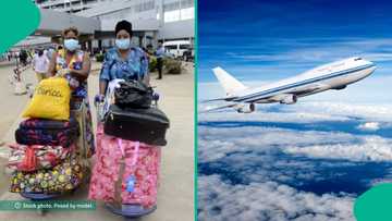 Reverse japa trend: Why some Nigerians are surprisingly returning home