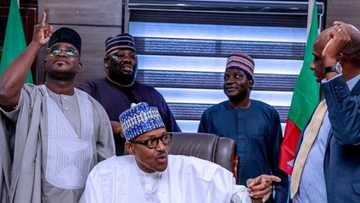 Days to election, another prominent group declares support for President Buhari