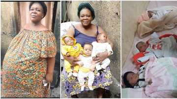 "I tap your blessing": Congratulations pour in as woman gives birth to triplets, video trends on TikTok