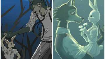 Beastars : voici 10 raisons de regarder cet animé si original !