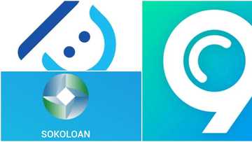 Government agency to go after 9credit, Palmcredit as Soko Loan tries to avoid N10 million fine