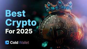 Top crypto coins right now: Cold wallet, Cardano, Dogecoin & Solana to watch in 2025