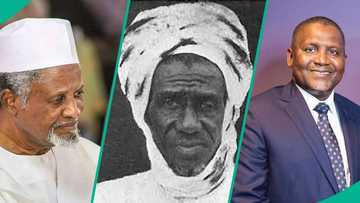 10 things to know about Alhassan Dantata’s business dynasty, list emerges
