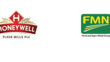 Honeywell Flour Mills of Nigeria and Flour Mills of Nigeria Propose Combined Operations