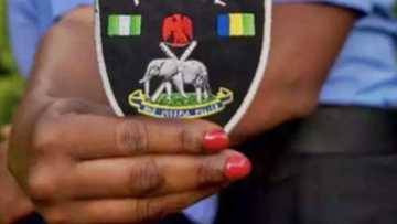 Na Allah basu karewa: Dan sanda ya mayar da N1.2m da ya tsinta wurin hatsari a Kano