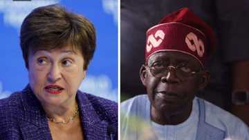IMF maintains 3.2% growth for Nigeria's economy despite rising inflation rate