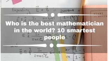 Who is the best mathematician in the world? 10 smartest people