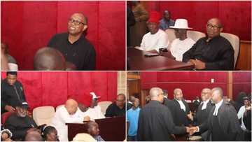 Peter Obi panics as he misplaces 2 phones during court session, video emerges