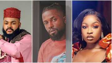 BBNaija Reunion: He has a good taste, Michael speaks on Whitemoney hitting on Jackie B after his eviction