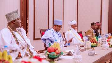 Minista ya goyi bayan dakatar da Basaraken da ya ziyarci Buhari a Aso Villa
