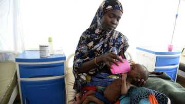 Expert reveals why rich children also suffer malnutrition, obesity