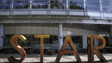 Trading halted in troubled Australian casino firm