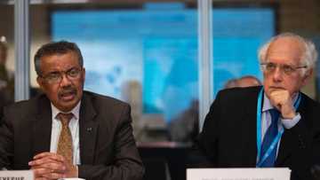 WHO reveals why Nigeria is among high-risk African countries for Coronavirus