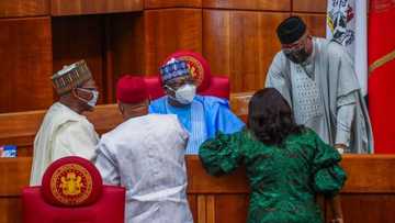 Constitution review: Full list of bills passed, rejected by NASS so far