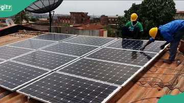 FG insists on ending solar panel imports, shares alternative plan