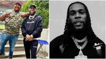 Dem no get money o: Davido all smiles as his bestie Cubana Chief Priest shades Burna Boy, Nigerians react