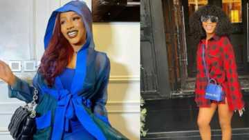 BBNaija: 2019 winner Mercy Eke predicts a woman will win season 6, lists top 5 housemates