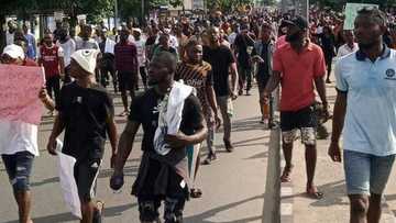 EndSARS: 'Yan daba sun kai farmaki ofisoshin NLC, INEC da SEMA a Calabar