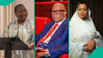 Natasha vs Akpabio: Ezekwesili breaks silence on allegation of collecting bribe to back Kogi senator