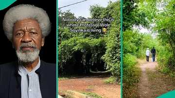 "Looks scary": Man displays Professor Wole Soyinka's house in forest, video leaves people wondering