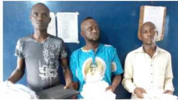 An kama jami’an INEC na bogi su 3 suna diban ma’aikata na wucin-gadi