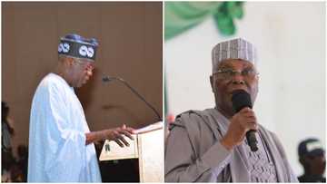 APC, PDP in fresh war of words over Tinubu, Atiku’s competency
