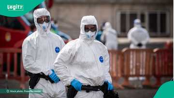 An shiga fargaba a Amurka, wani bature ya kamu da cutar Hantavirus mai kisa