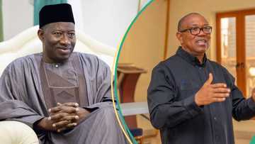 “Jonathan offers Peter Obi ministerial slot to drop 2027 presidential ambition”: Kachikwu alleges