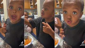 "I'm a grown man": Little boy rejects noodles in funny video, says he's bigger than that