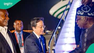 Kisarazu: 7 important things to know about the new hometown Japan gave to Nigerians, list emerges