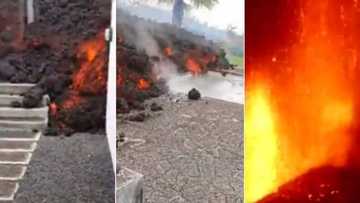 Heartbreaking: Photos emerges of families hit by raging volcanic eruptions in Spain