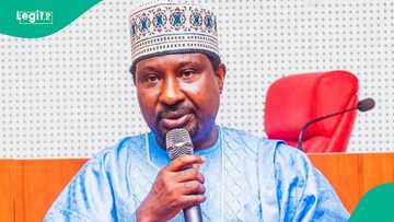 Bye-Elections: APC group speaks on Barau's role as party records landslide victory in Kano
