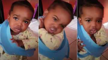 "Take it out please": Little boy begs mum as his head gets stuck in plastic, video trends