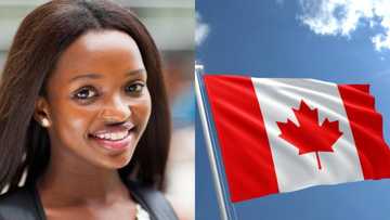 Higher education in Canada: 10 cheapest schools for international students