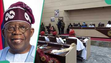 2027 presidency: Moment PDP Gov Oborevwori watch Delta monarchs pledge support for Tinubu’s re-election