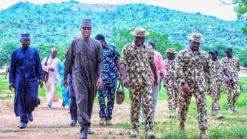 Akwai Babbar Matsala, Zulum Ya Bayyana Halin da Borno Ta Shiga Saboda Mika Wuyan Yan Boko Haram
