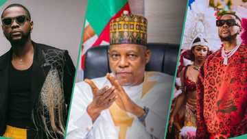 VP Shettima makes claim about Kizz Daniel's Buga becoming Nigeria's 2nd national anthem