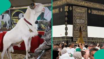 Breaking: Saudi Arabia announces Eid-el-Kabir day as it sights Dhul Hijjah crescent moon