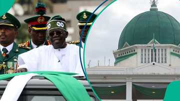 Sanatan Borno ya yi wa ministan Tinubu barazanar tsige shugaban kasa a majalisa