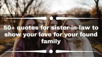 50+ quotes for sister-in-law to show your love for your found family