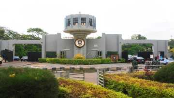 COVID-19: UI announces resumption, says first semester of 2020/2021 will hold virtually