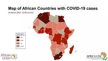 Coronavirus a Afrika: Ta bulla kasashe 43, ta kama 1788, 53 sun mutu, 184 sun warke (Kalli Jerin)