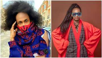 Low-budget Bobrisky - Tacha's fans come for Denrele, he reacts