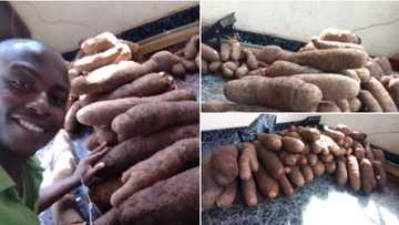 Kawai gwadawa nayi, Matashi ya debi amfanin noman da yayi a harabar gidansa